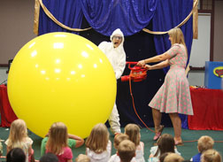 Chicago Balloon Shows