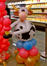 Marianos Ice Cream 4